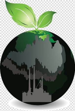 green salad